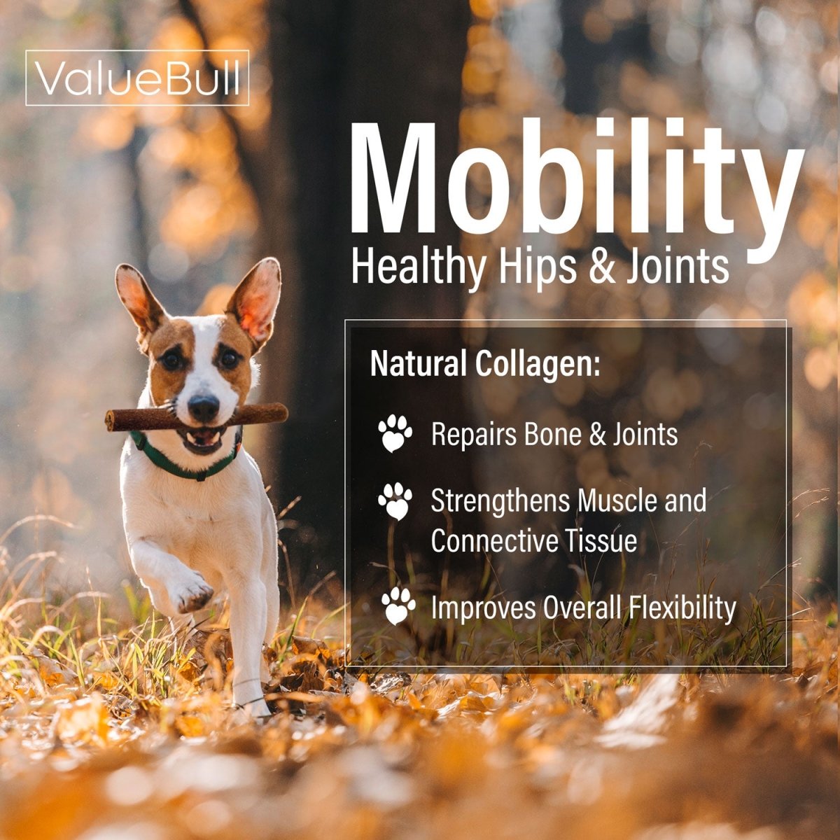 ValueBull Collagen Sticks For Dogs, Bully Sticks & Rawhide Alternative, Thick 6 Inch, 25 Count - ValuePetSupplies