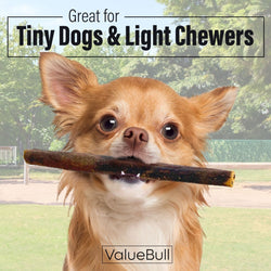 ValueBull Collagen Sticks For Small Dogs, Bully Sticks & Rawhide Alternative, Extra Thin 6 Inch, 10 Count - ValuePetSupplies