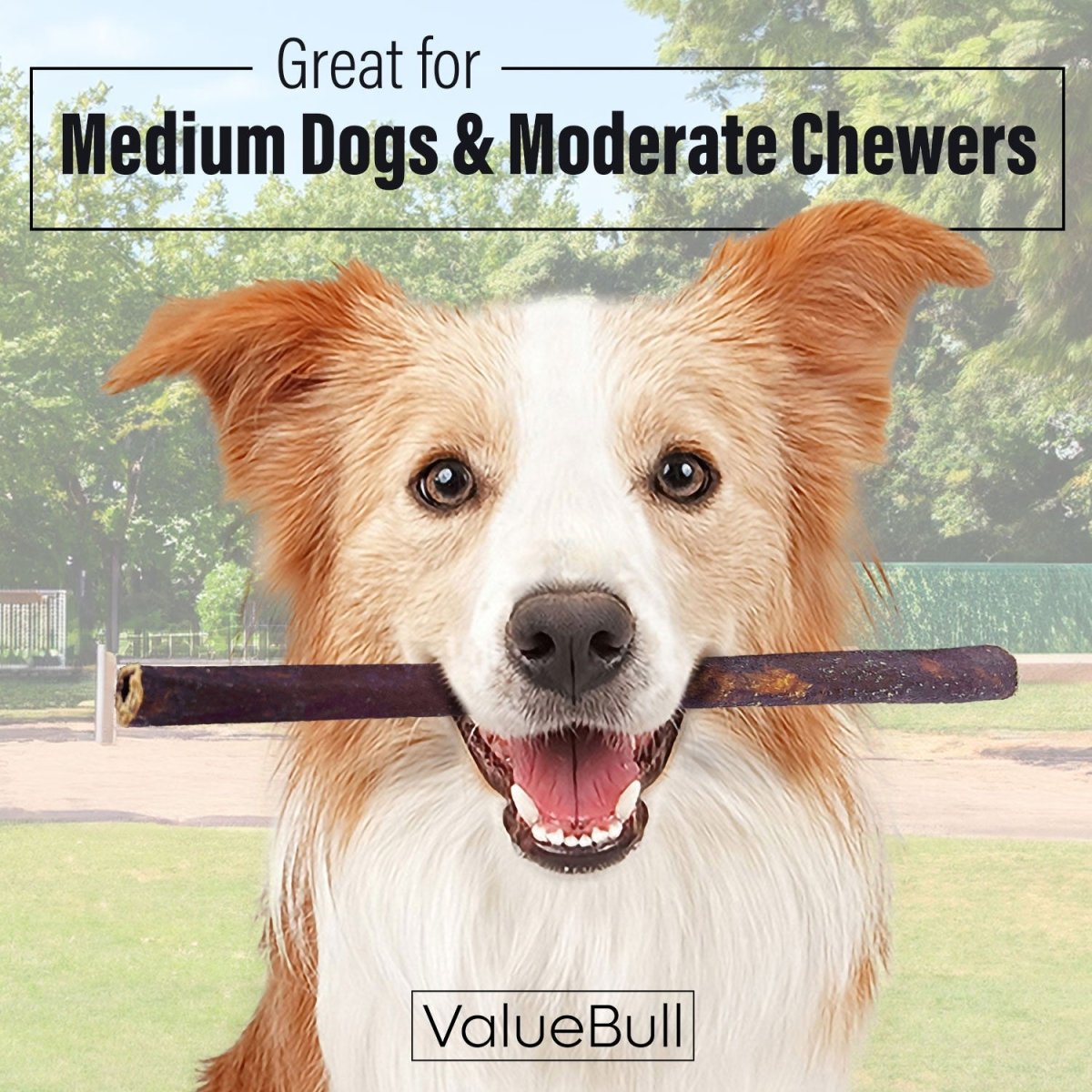 ValueBull Collagen Sticks For Dogs, Bully Sticks & Rawhide Alternative, Medium 12 Inch, 100 Count BULK PACK - ValuePetSupplies