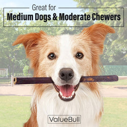 ValueBull Collagen Sticks For Dogs, Bully Sticks & Rawhide Alternative, Medium 12 Inch, 400 Count WHOLESALE PACK - ValuePetSupplies