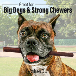ValueBull Collagen Sticks For Dogs, Bully Sticks & Rawhide Alternative, Thick 12 Inch, 200 Count BULK PACK - ValuePetSupplies