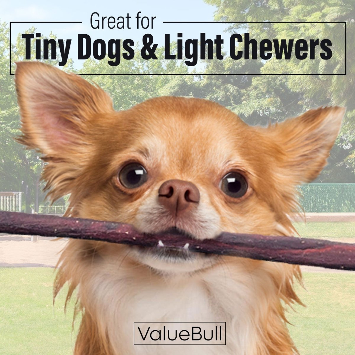 ValueBull Collagen Sticks For Small Dogs, Bully Sticks & Rawhide Alternative, Extra Thin 12 Inch, 10 Count - ValuePetSupplies