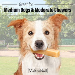 ValueBull Himalayan Yak Cheese Dog Chews, Medium, 4 ct (SAMPLE PACK) - ValuePetSupplies