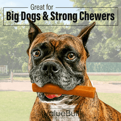 ValueBull Himalayan Yak Cheese Dog Chews, Pumpkin, Large, 5 Count - ValuePetSupplies