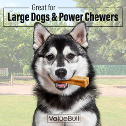 ValueBull Himalayan Yak Cheese Dog Chews, Extra Large, 10 lb Bulk Pack - ValuePetSupplies