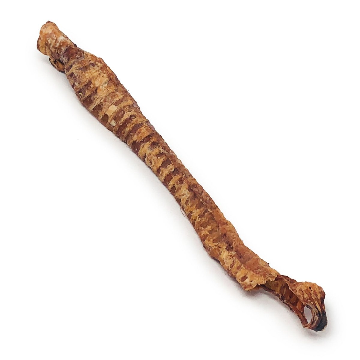 ValueBull Lamb Trachea for Dogs, Premium, 4 - 9 Inch, 240 Count, BULK PACK - ValuePetSupplies
