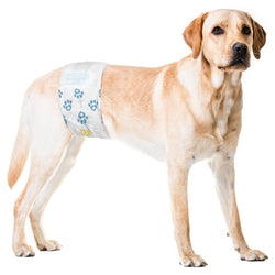ValueWrap Male Wraps, Disposable Dog Diapers, 1 - Tab Large, 72 Ct - ValuePetSupplies