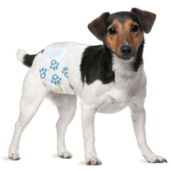 ValueWrap Male Wraps, Disposable Dog Diapers, 1 - Tab Small, 144 Count - ValuePetSupplies