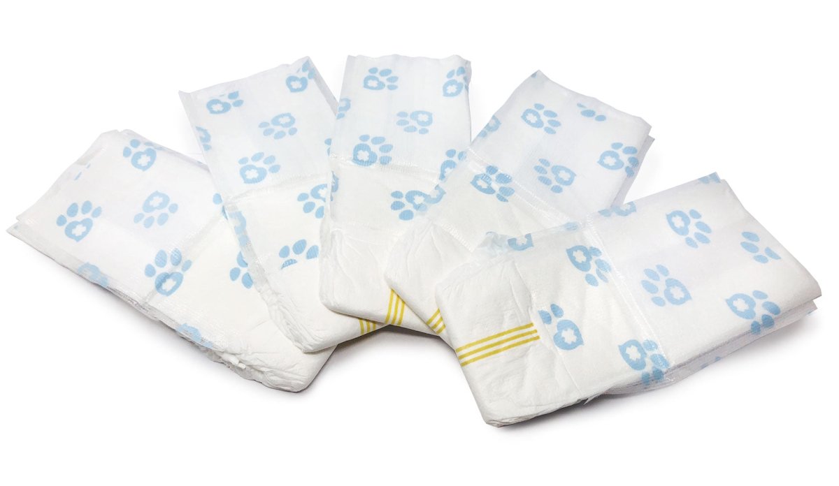ValueWrap Male Wraps, Disposable Dog Diapers, 1 - Tab Small, 48 Count - ValuePetSupplies