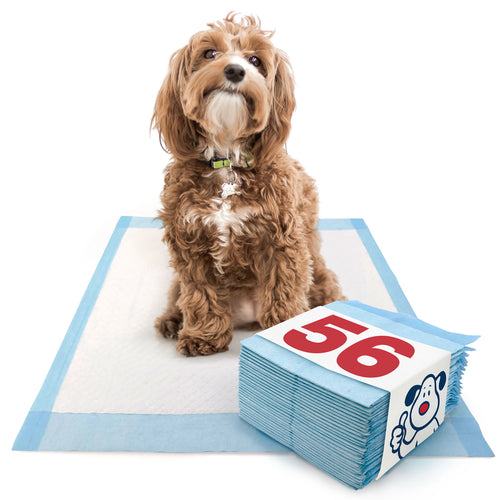 ValuePad Puppy Pads, Medium 23x24 Inch, Economy, 56 Count