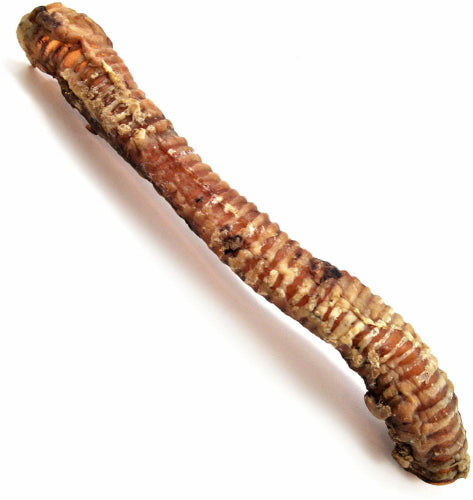 ValueBull USA Beef Trachea Tube Dog Chews, Whole, 15-17 Inch, 5 Count