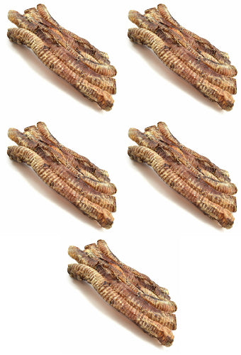 ValueBull USA Beef Trachea Tube Dog Chews, Whole, 15-17 Inch, 25 Count
