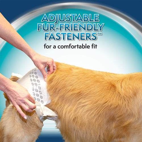 Simple Solution True Fit Disposable Dog Diaper with Tail-Hole, Medium, 30 Count