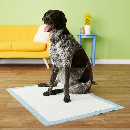 Four Paws Wee Wee Pads, Gigantic 27.5x44 Inch, 18 Count, 4 Pack