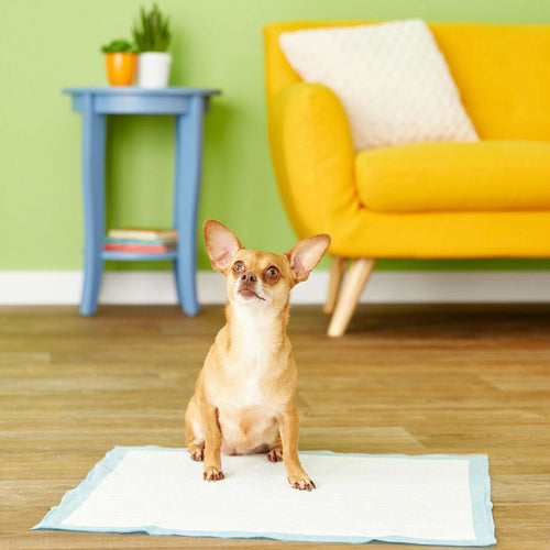 Four Paws Wee Wee Pads 22x23 Inch, Odor Control, 100 Count