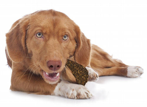 Cadet Duck Breast Jerky Dog Treats, Gourmet, 14 Ounce, 12 Pack