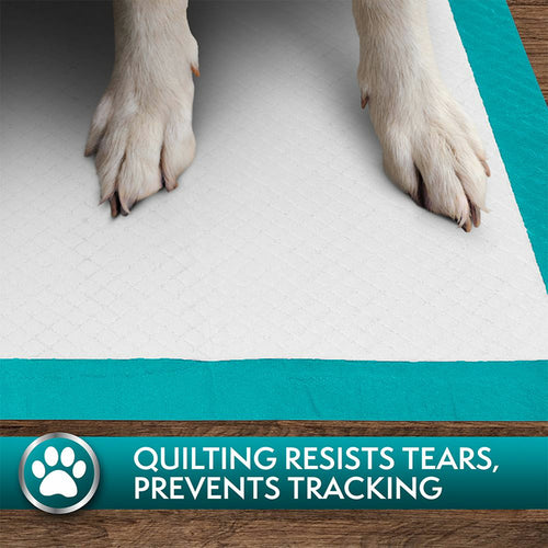 Simple Solution Training Pads for Dogs, Premium, 23x24 Inch, 50 Count
