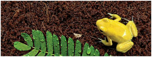 Exo Terra Plantation Soil, 8 Quart, 3 Count