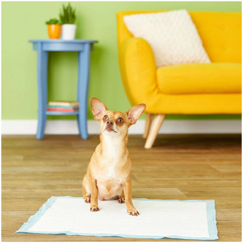 Four Paws Wee-Wee Pads for Dogs, 22x23 Inch, 200 Count, 2 Pack