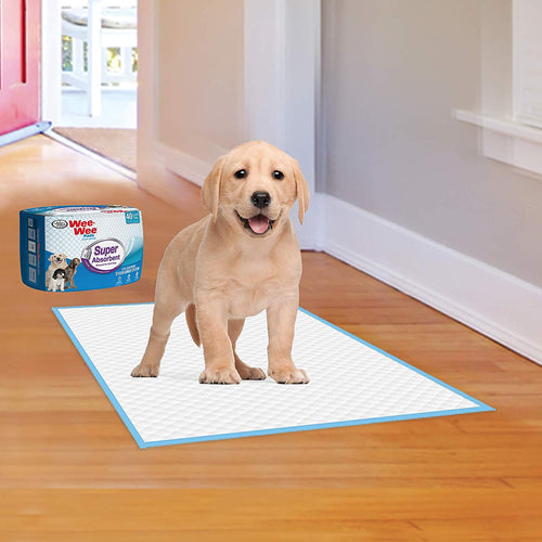 Four Paws Adult Wee Wee Pads, 24x24 Inch, 40 Count, 10 Pack