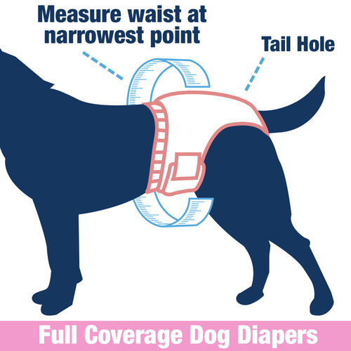 Four Paws Wee-Wee Male Dog Wraps, Disposable, Medium/Large, 12 Count, 6 Pack
