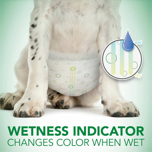 Vet's Best Diapers with Tail-Hole for Female Dogs, Comfort-Fit Disposable, X-Small, 12 Count