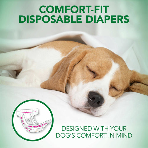 Vet's Best Diapers with Tail-Hole for Female Dogs, Comfort-Fit Disposable, X-Small, 12 Count, 3 Pack