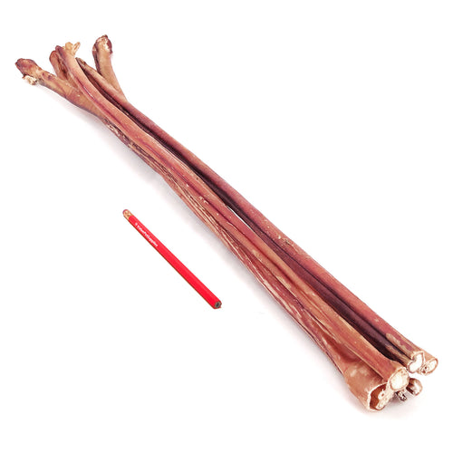 ValueBull Premium Bully Stick Canes, Thick 24-32 Inch, 5 Count