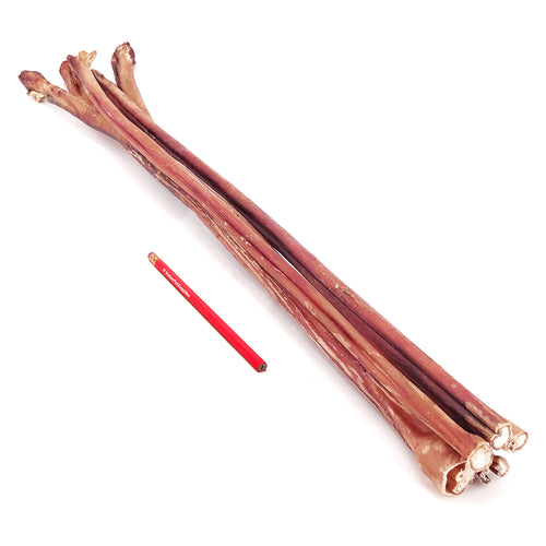 ValueBull Premium Bully Stick Canes, Thick 24-32 Inch, 10 Count