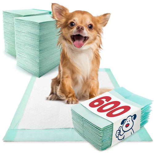ValuePad Plus Puppy Pads, Small 17x24 Inch, 600 Count BULK PACK