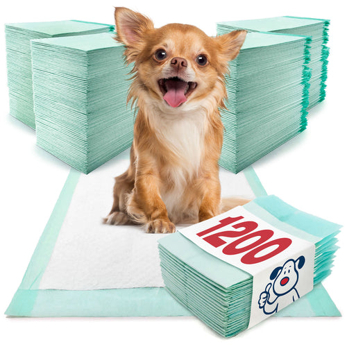 ValuePad Plus Puppy Pads, Small 17x24 Inch, 1,200 Count BULK PACK