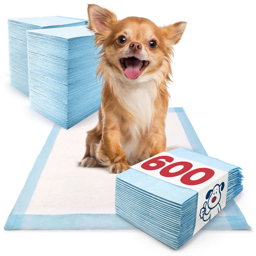 Affordable pet training supplies