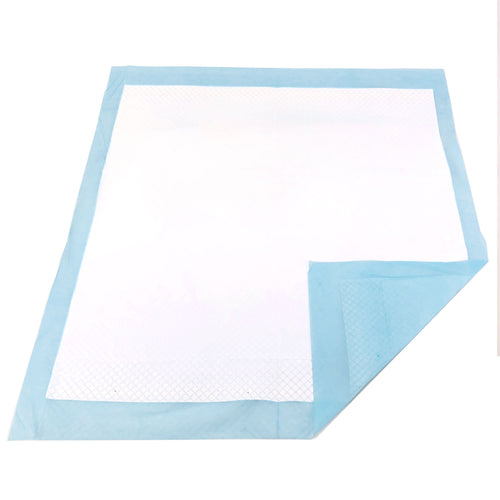 ValuePad Puppy Pads, Large 28x30 Inch, 600 Count BULK PACK