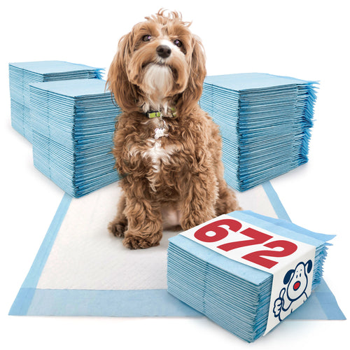 ValuePad Puppy Pads, Medium 23x24 Inch, Economy, 672 Count BULK PACK