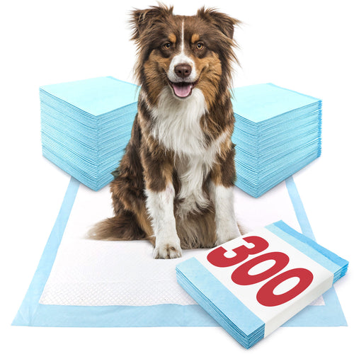ValuePad Puppy Pads, Large 28x30 Inch, 300 Count BULK PACK