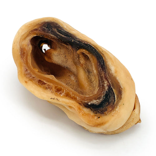 ValueBull Cow Ear Rings, 10 Count