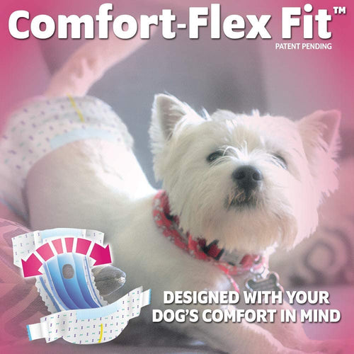 OUT! Disposable Diapers for Dogs, X-Small/Small, 16 Count, 8 Pack