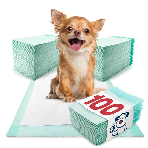 ValuePad Plus Puppy Pads, Small 17x24 Inch, 100 Count