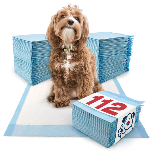 ValuePad Puppy Pads, Medium 23x24 Inch, Economy, 112 Count