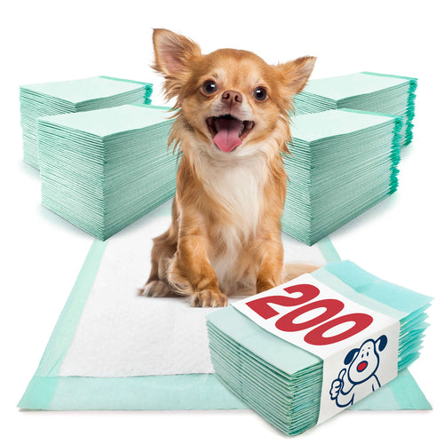ValuePad Plus Puppy Pads, Small 17x24 Inch, 200 Count