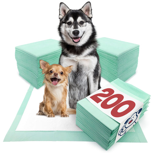 ValuePad Plus Puppy Pads, XXL Gigantic 28x44 Inch, 200 Count BULK PACK