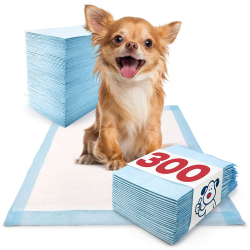 ValuePad Puppy Pads, Small 17x24 Inch, 300 Count