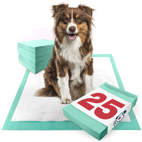 ValuePad Plus Puppy Pads, Large 28x30 Inch, 25 Count
