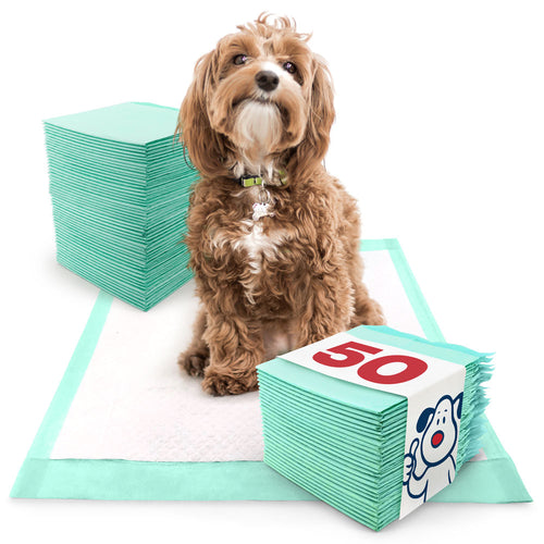 ValuePad Plus Puppy Pads, Medium 23x24 Inch, Premium, 50 Count