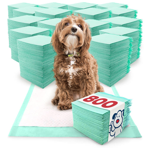 ValuePad Plus Puppy Pads, Medium 23x24 Inch, 800 Count BULK PACK