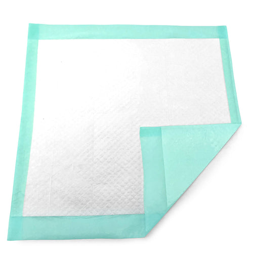 ValuePad Plus Puppy Pads, Medium 23x24 Inch, 400 Count BULK PACK