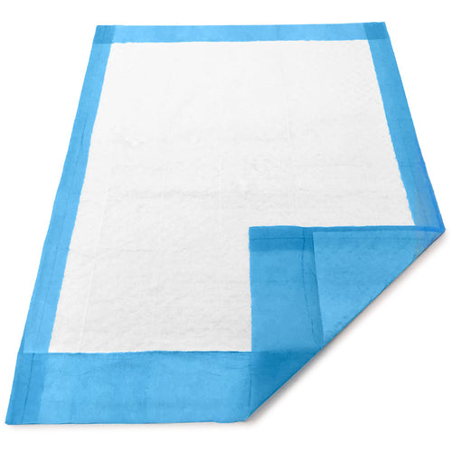 ValuePad Puppy Pads, Small 17x24 Inch, Economy, 50 Count