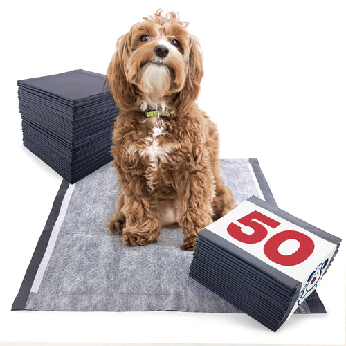 ValuePad Plus Carbon Puppy Pads, Medium 23x24 Inch, 50 Count