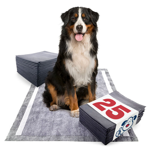 ValuePad Plus Carbon Puppy Pads, X-Large 28x36 Inch, 25 Count