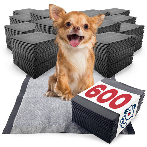 ValuePad Plus Carbon Puppy Pads, Small 17x24 Inch, 600 Count BULK PACK